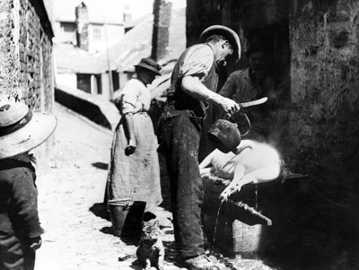 William Stevens die het Varken Schoonmaakt bij Norway Lane, St Ives, c.1880-99 door English Photographer